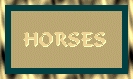HORSESBUT.jpg (10640 bytes)